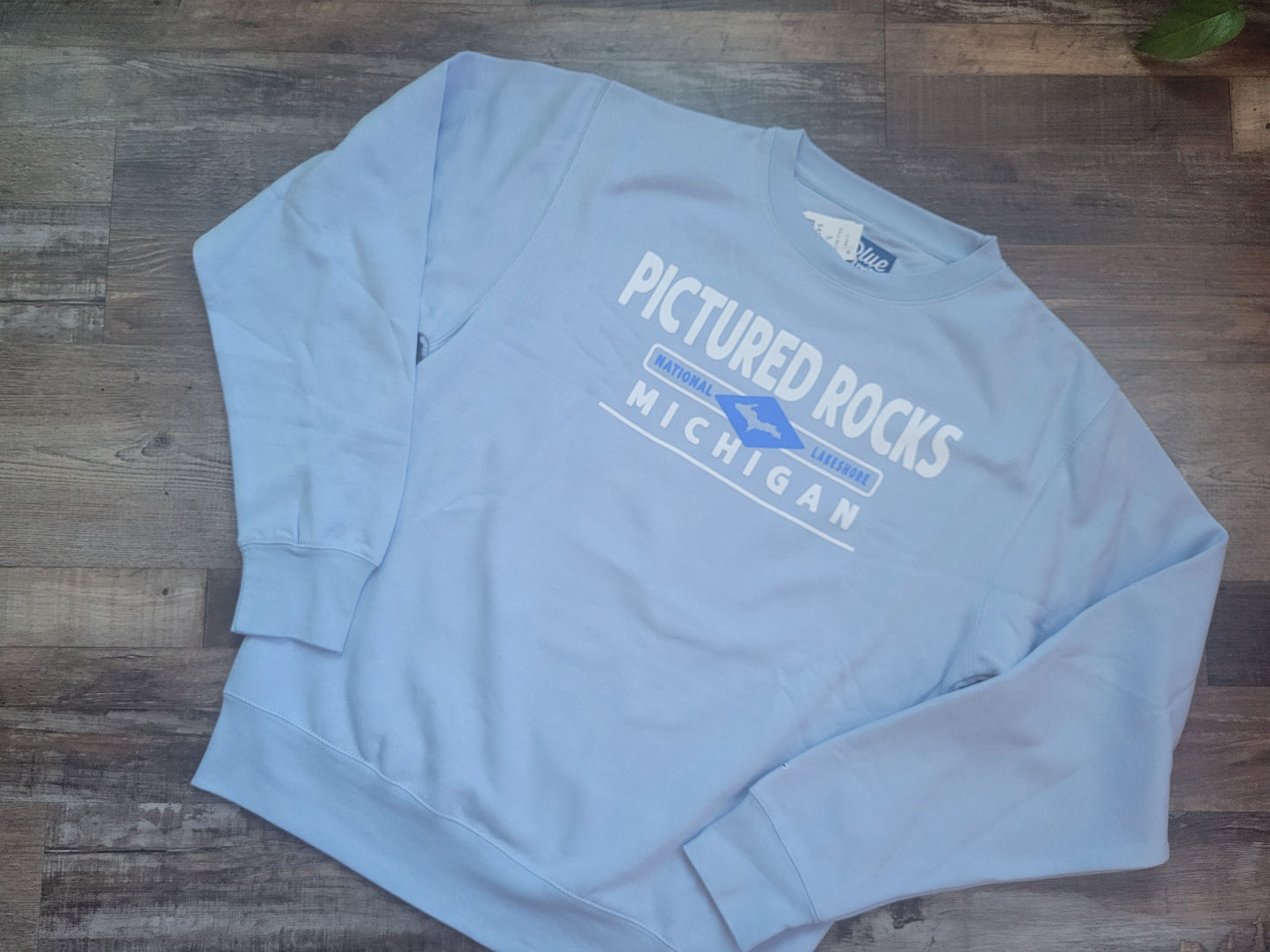 crew sweatshirt - light blue or pistachio green color