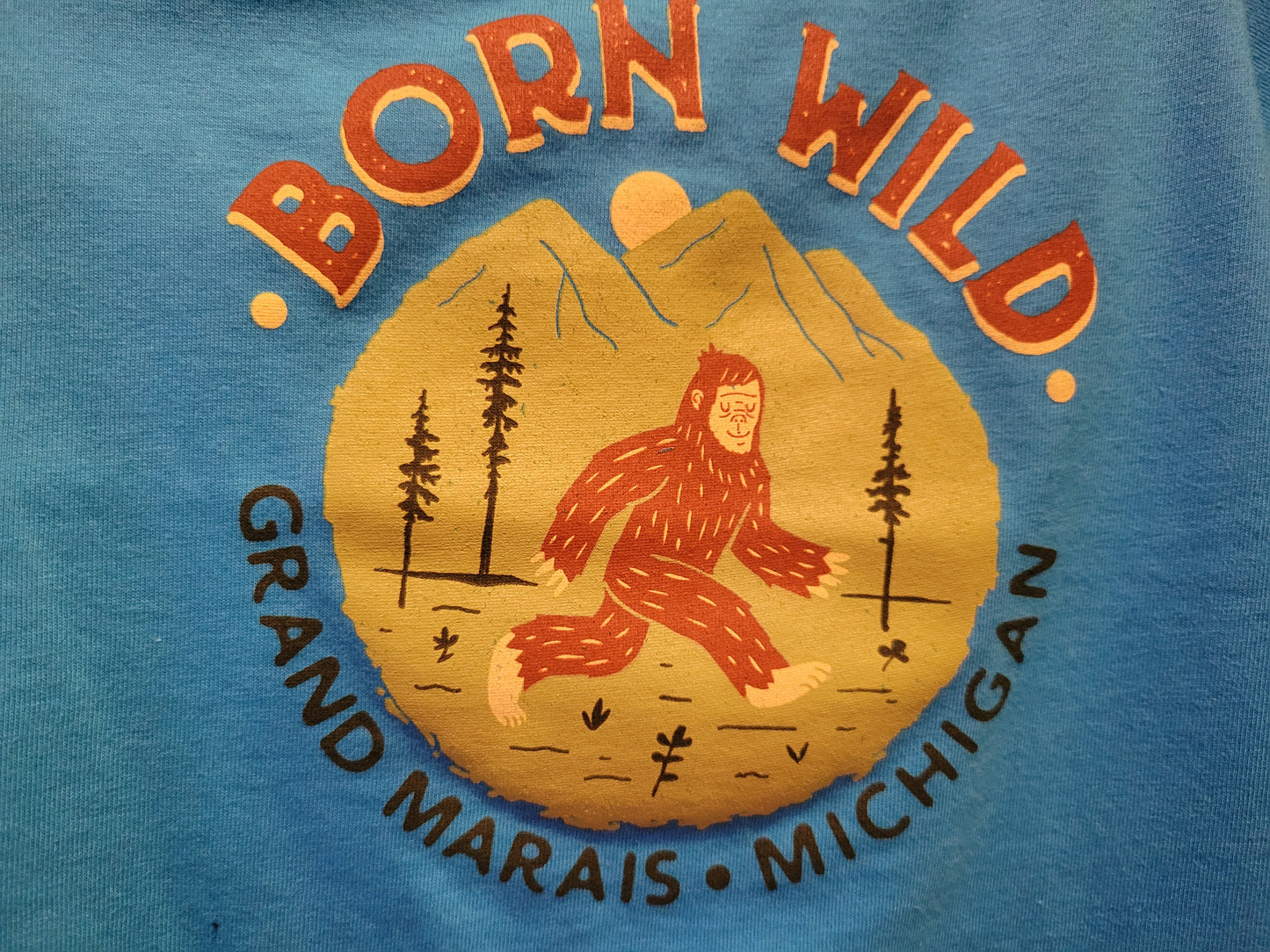 Born Wild - Kid short sleeve t shirt