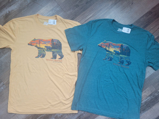 Bear in pines short sleeve