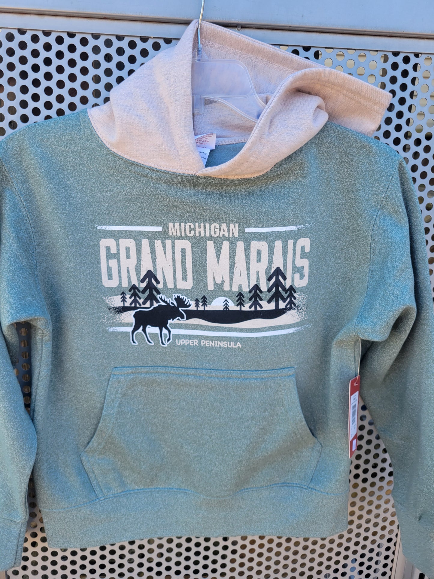 Youth hooded sweatshirt